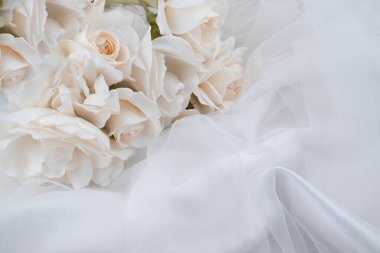  Bahçede bitki yetiştirme fotoğrafı. 