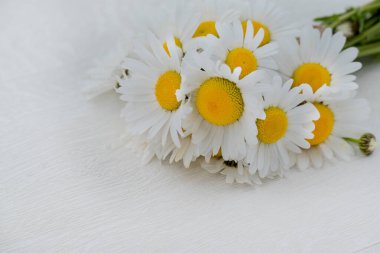  Bahçede bitki yetiştirme fotoğrafı. 