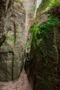 Adrszpach-Teplice rocks çek