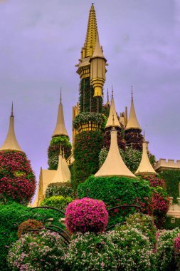 Dubai bahçesindeki güzel çiçeklerin fotoğrafı. 