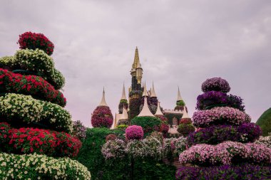 Dubai bahçesindeki güzel çiçeklerin fotoğrafı. 