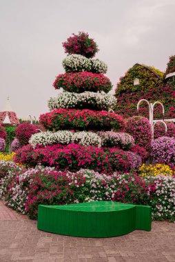 Dubai bahçesindeki güzel çiçeklerin fotoğrafı. 