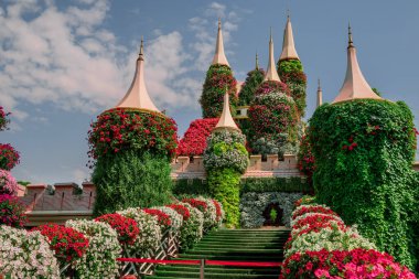 Dubai bahçesindeki güzel çiçeklerin fotoğrafı. 