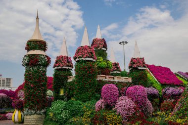 Dubai bahçesindeki güzel çiçeklerin fotoğrafı. 