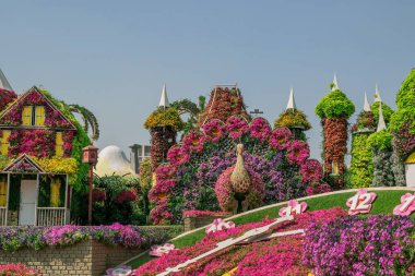 Dubai bahçesindeki güzel çiçeklerin fotoğrafı. 