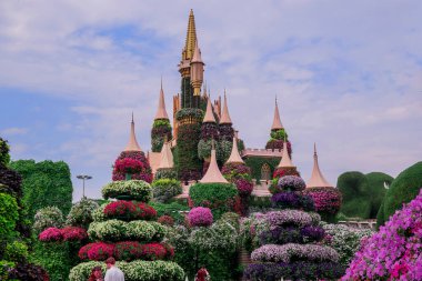 Dubai bahçesindeki güzel çiçeklerin fotoğrafı. 