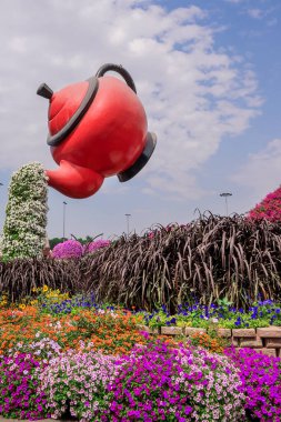 Dubai bahçesindeki güzel çiçeklerin fotoğrafı. 