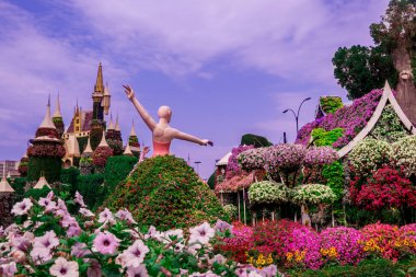 Dubai bahçesindeki güzel çiçeklerin fotoğrafı. 