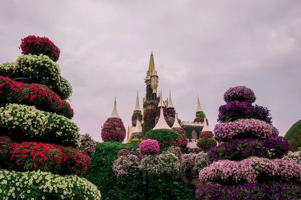 Dubai bahçesindeki güzel çiçeklerin fotoğrafı. 