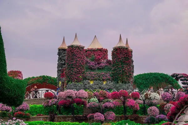 Dubai bahçesindeki güzel çiçeklerin fotoğrafı. 