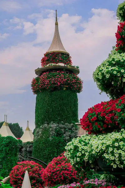 Dubai bahçesindeki güzel çiçeklerin fotoğrafı. 