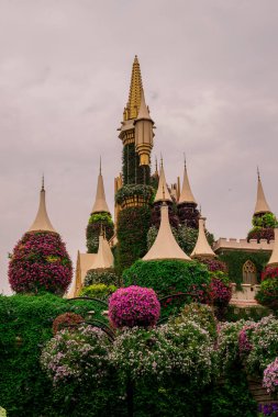 Dubai bahçesindeki güzel çiçeklerin fotoğrafı. 