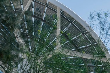 EXPO 2020 Dubai Fotoğraf: 