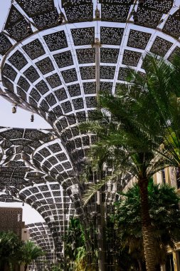 EXPO 2020 Dubai Fotoğraf: 