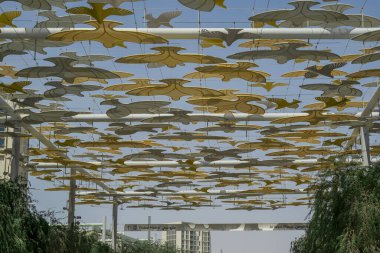 EXPO 2020 Dubai Fotoğraf: 
