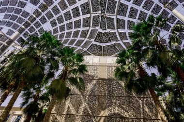 EXPO 2020 Dubai Fotoğraf: 