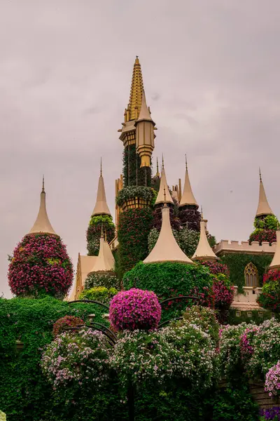 Dubai bahçesindeki güzel çiçeklerin fotoğrafı. 