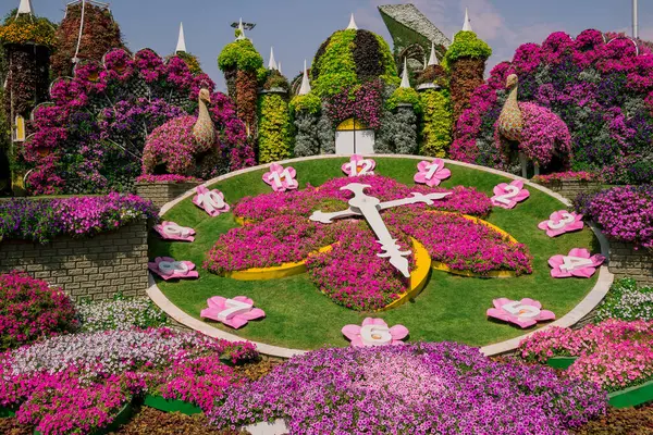 Dubai bahçesindeki güzel çiçeklerin fotoğrafı. 