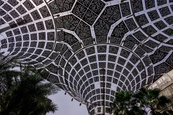 EXPO 2020 Dubai Fotoğraf: 