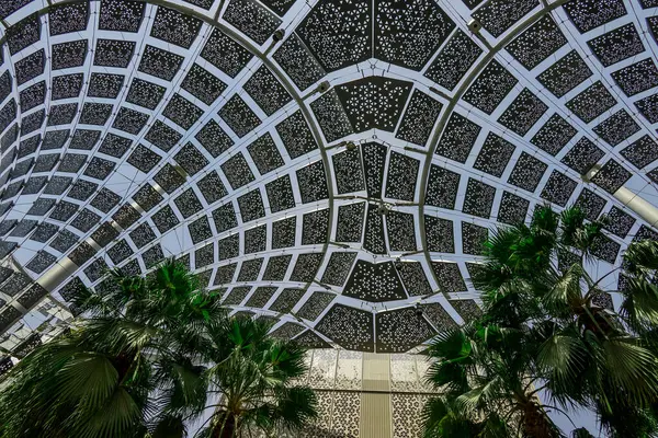 EXPO 2020 Dubai Fotoğraf: 