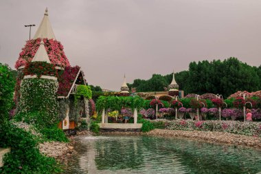 Dubai bahçesindeki güzel çiçeklerin fotoğrafı. 