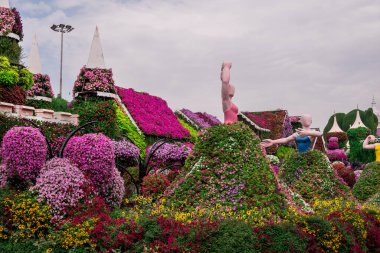 Dubai bahçesindeki güzel çiçeklerin fotoğrafı. 