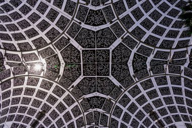 EXPO 2020 Dubai Fotoğraf: 