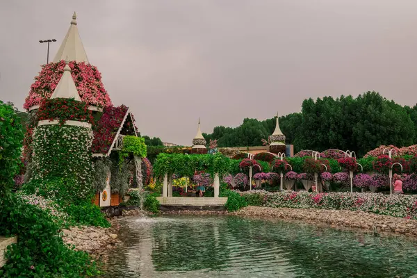 Dubai bahçesindeki güzel çiçeklerin fotoğrafı. 