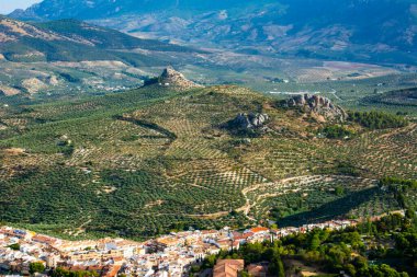 Landscape of olive groves surrounding the city of Jaen, Spain.