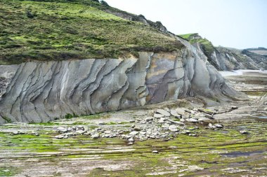 Zumaia sahili, Gipuzkoa, İspanya. Bu Gipuzkoan kasabasının kıyıları sinekleriyle ünlüdür..