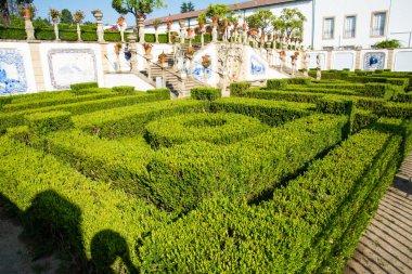 Portekiz, Castelo Branco 'nun botanik bahçesi manzarası.