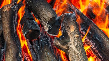 Sarı ve kırmızı alevlerle yanan bir kamp ateşinde kurumuş odun.