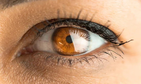 Woman's brown eye close up, taking care of eye problems, healthy eyes
