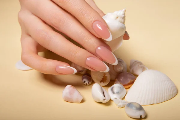 Hands with long artificial nails with french manicure holding seashells. High quality photo