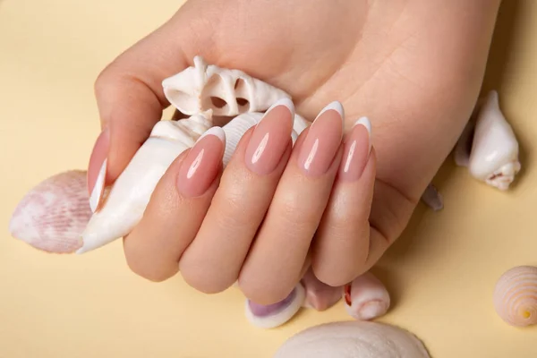 Hands with long artificial nails with french manicure holding seashells. High quality photo