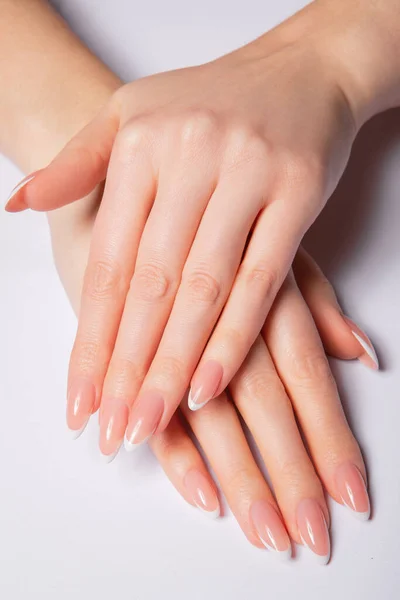 Mãos Com Unhas Compridas Com Manicure Francês Segurando Conchas Foto — Fotografia de Stock
