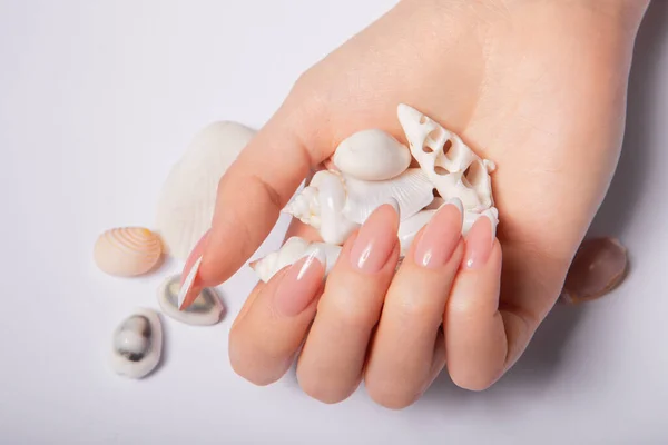 Χέρια Μακριά Νύχια Γαλλικό Μανικιούρ Που Κρατούν Κοχύλια Υψηλής Ποιότητας — Φωτογραφία Αρχείου