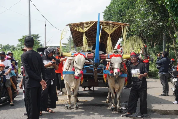 Desfile Cikar Kediri Cikar Uno Los Transportes Tradicionales Indonesios Que — Foto de Stock