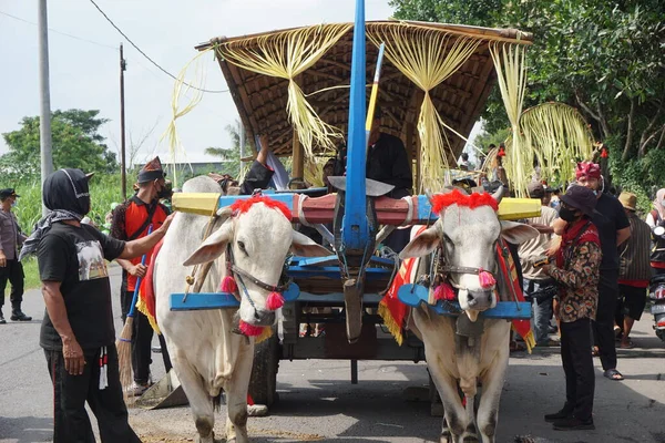 Desfile Cikar Kediri Cikar Uno Los Transportes Tradicionales Indonesios Que — Foto de Stock