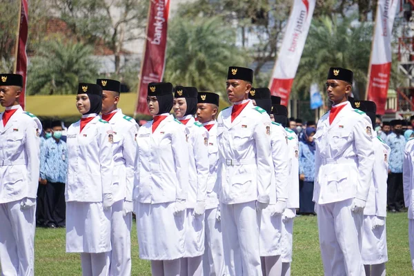 Levantamiento Bandera Indonesia Paskibraka Ceremonia Del Día Independencia —  Fotos de Stock
