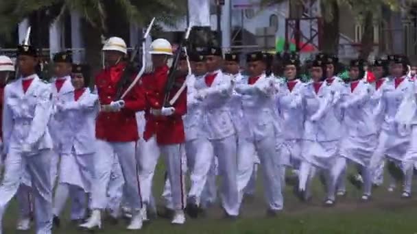 独立記念日におけるインドネシア国旗掲揚者 パスキブラカ — ストック動画