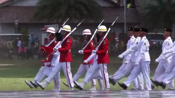 Penyerang Bendera Indonesia Paskibraka Dalam Upacara Hari Kemerdekaan — Stok Video