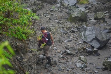 Larung sesaji (Java Şükran Günü) Gunung Kelud. Larungan, Endonezya geleneklerinden biridir.
