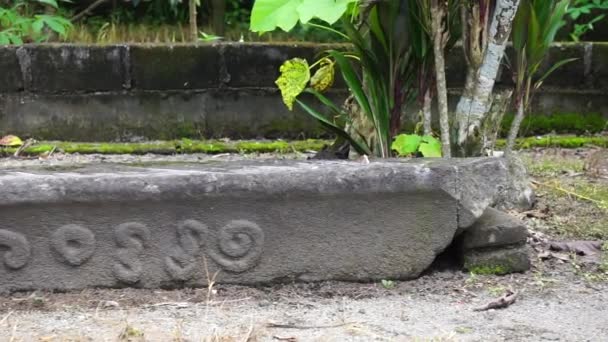 Gilang Stone Site Situs Watu Gilang Место Является Реликвией Шри — стоковое видео