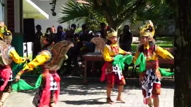 印尼人表演吉拉尼舞 这支舞来自印度尼西亚的东爪哇 — 图库视频影像