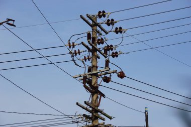 Electric cable network with a natural background