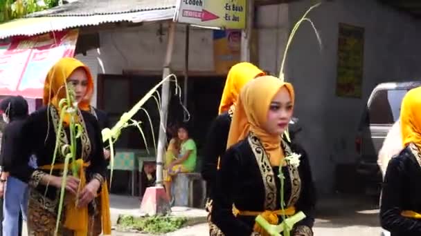 1800 Chocolate Ketupat Cultural Carnival Festival Kirab Budaya 1800 Ketupat — Stock video