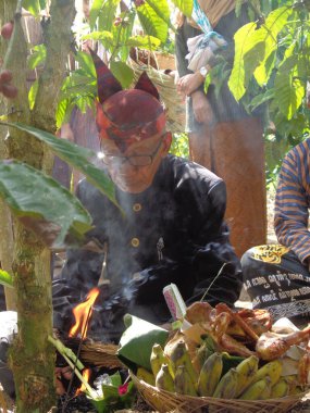 The old man does a ritual for manten kopi (Coffee marriage). Coffee marriage is the ceremony for harvesting coffee