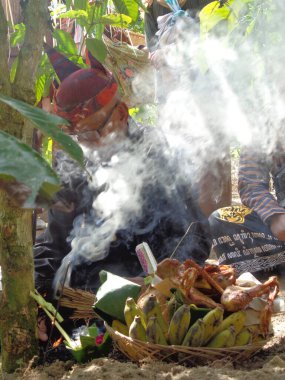 The old man does a ritual for manten kopi (Coffee marriage). Coffee marriage is the ceremony for harvesting coffee