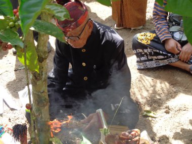 The old man does a ritual for manten kopi (Coffee marriage). Coffee marriage is the ceremony for harvesting coffee